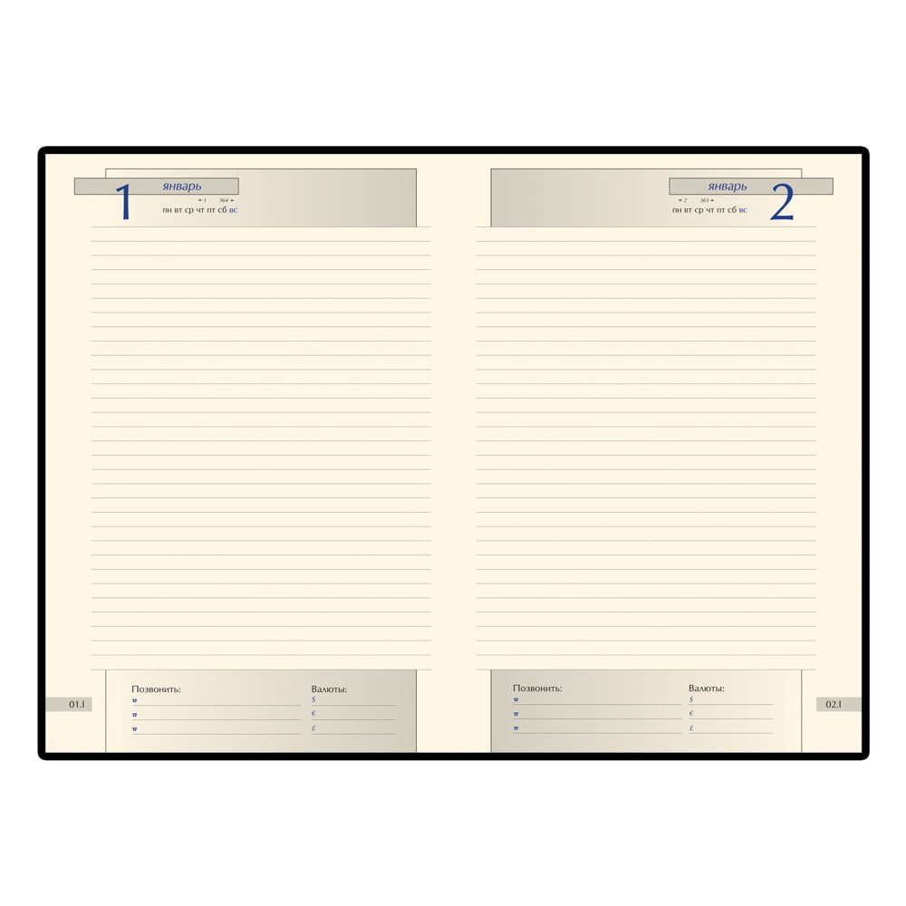 Подарочный набор: Шариковая ручка Parker Sonnet Core K528, Matte Black GT + Ежедневник Premium, Black GS